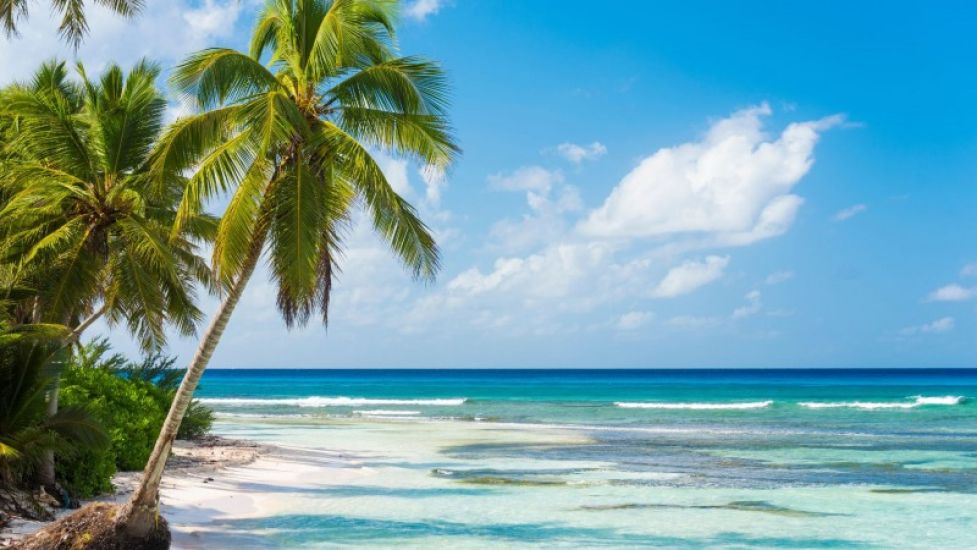 Топ оферти Доминикана - Welcome Travel