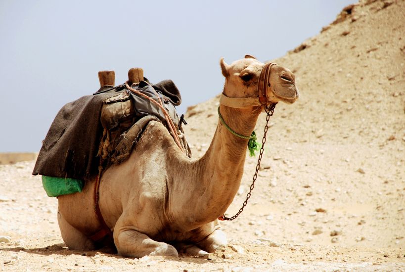 Почивки в Египет – Кайро, пирамиди, Хургада и плажове край Червено море