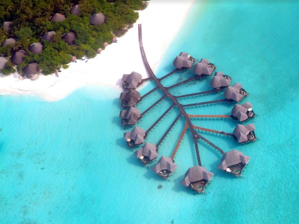 Coco Palm Dhuni Kolhu