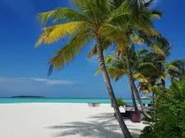 Dhigufaru Island Resort