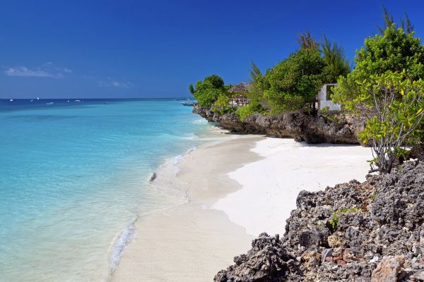Почивка в остров Занзибар, бяло море и палми в Танзания