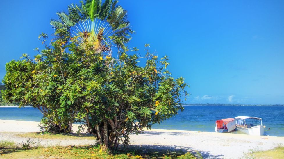 Екскурзия до Мадагаскар